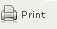 print_icon.gif